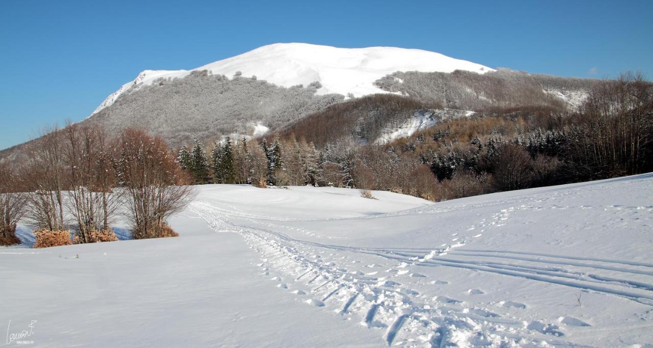 Antica Locanda Bonfiglio Busana Exteriér fotografie