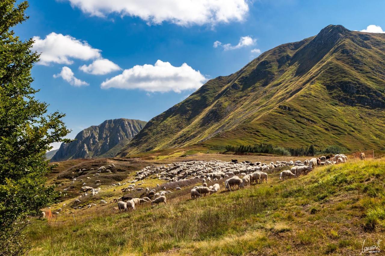 Antica Locanda Bonfiglio Busana Exteriér fotografie